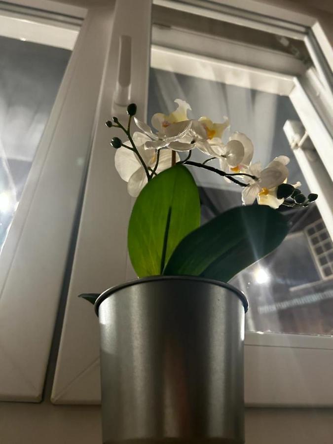 Lvm Apartments Zagrzeb Zewnętrze zdjęcie